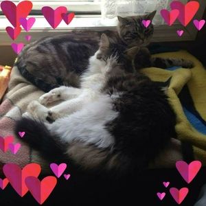 Meet your Posher, Joanne